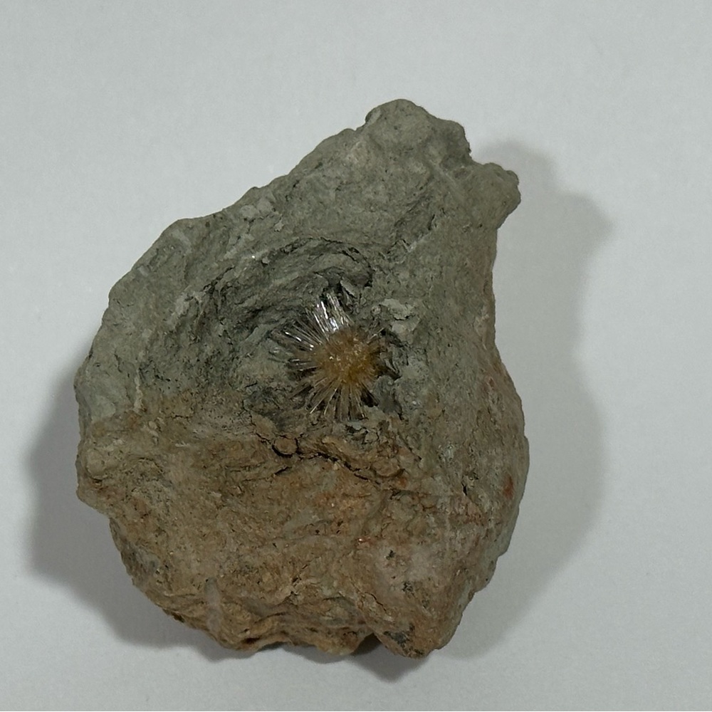 MOVING SALE! Aragonite